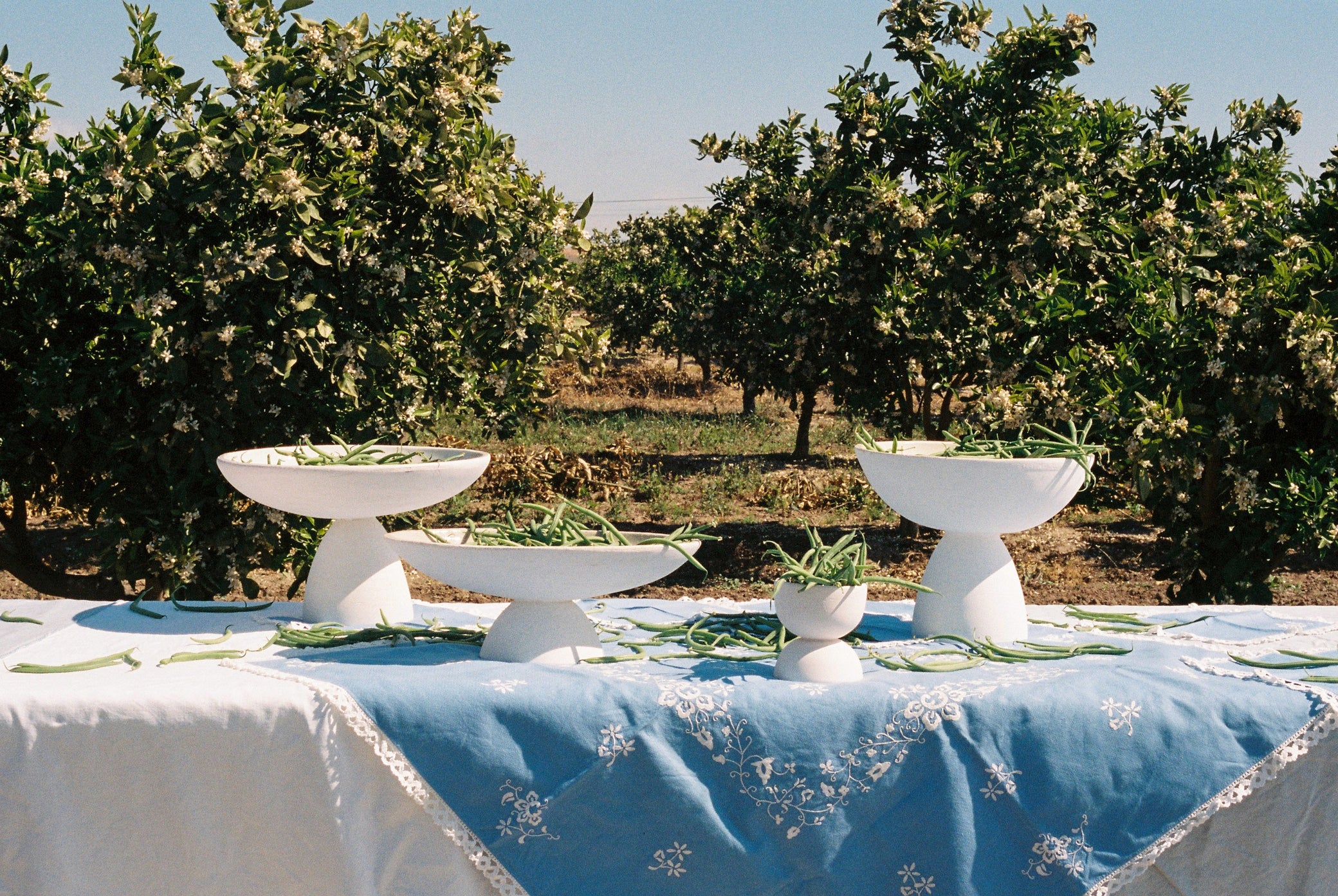 White bowls on a white and blue table located in the countryside