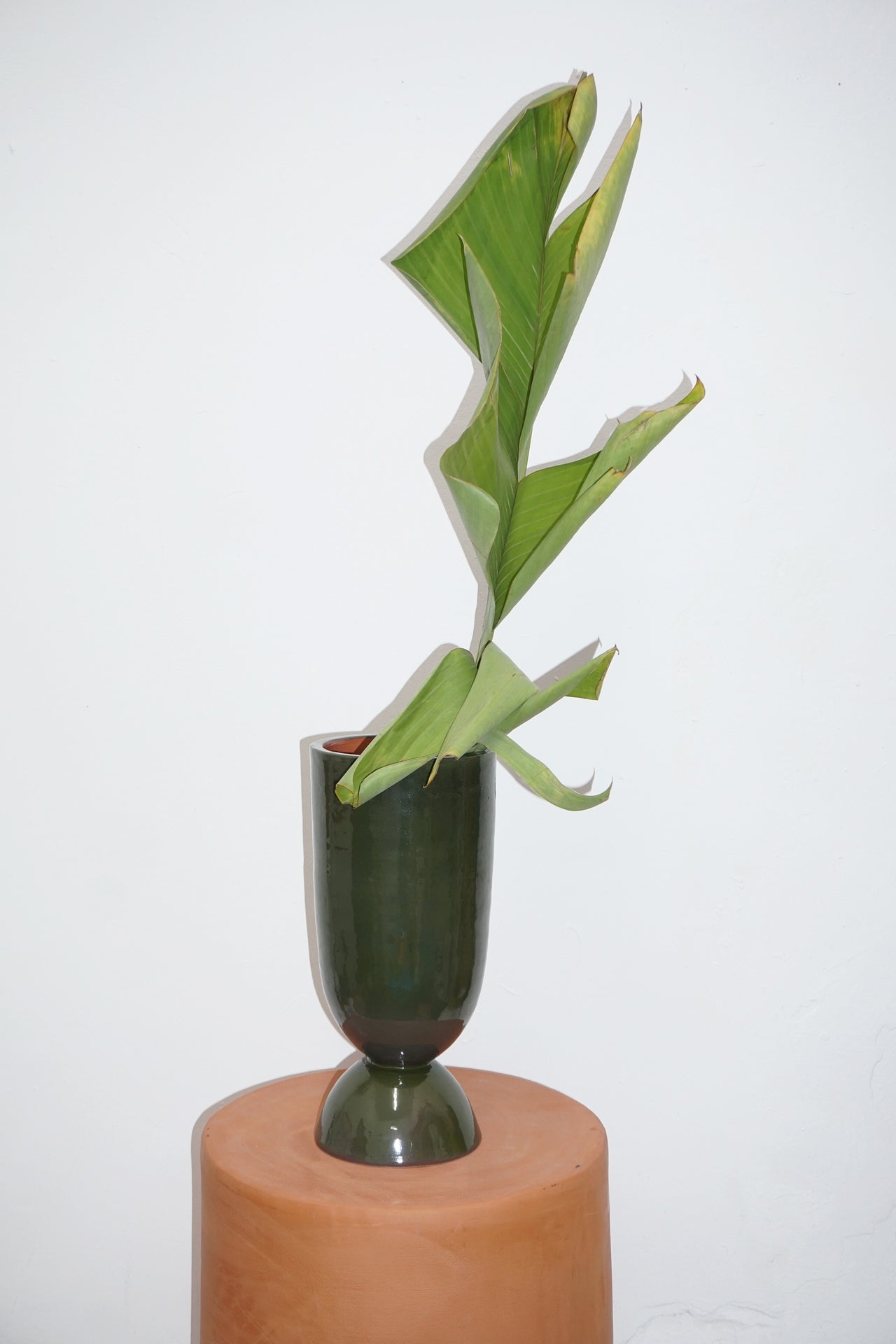 Santa Verde Glazed